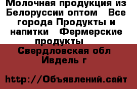 Молочная продукция из Белоруссии оптом - Все города Продукты и напитки » Фермерские продукты   . Свердловская обл.,Ивдель г.